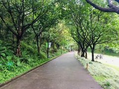 -广州雕塑公园