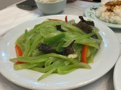 -天府乐园