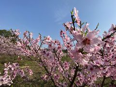 -常德桃花源景区