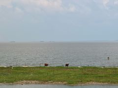-泗洪洪泽湖湿地景区