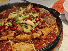 -老板恋上鱼(高新万达店)