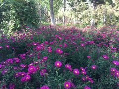 -回龙观体育文化公园