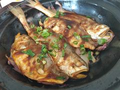 -食家鸽园