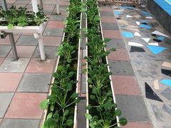 -兴芮温泉度假区