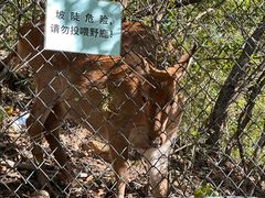 -大连森林动物园