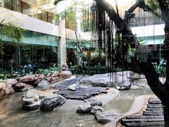 与白虎共餐-白虎自助餐厅·真老虎·景观自助餐厅(广州长隆酒店)