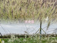 -汉长安城未央宫国家考古遗址公园