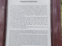 -白草畔自然风景区