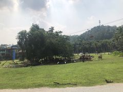 -平吉花卉市场