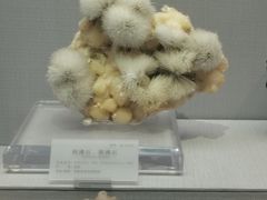 -湖南省地质博物馆