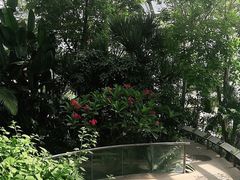 -北京植物园-展览温室