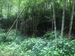 -宁波五龙潭景区