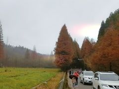 -山王坪喀斯特国家生态公园