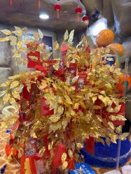 -卡通尼·Safari非洲探索乐园·生日会(金桥国际商业广场店)