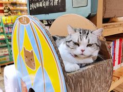 -小时光咖啡馆(开森度假森林店)