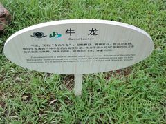 -百里山水画廊-恐龙游乐园