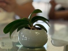 -亚龙湾老厨房·海南家常味