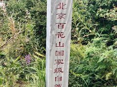 -白草畔自然风景区