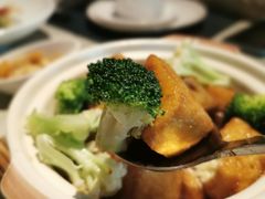 日式花菇豆腐煲-T館·花园艺术餐厅
