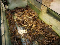 -川骄海鲜自助(河东店)