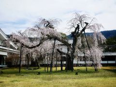 -醍醐寺