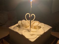 -BLACKSWAN黑天鹅(环球店)