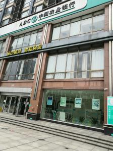 珠江路农业银行在哪(珠江路农业银行在哪个位置)