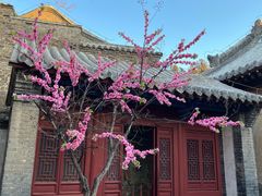 -宾朋海鲜特色美食餐厅·纯手工鲅鱼水饺(兴海路店)