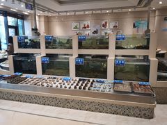 水产区-新洪记·丽久饭店(铁西店)
