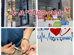 -守诺宠物医院·眼科· 特色牙科·异宠专科(虹口店)