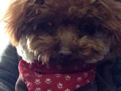 -万达影城(锦华万达广场IMAX店)