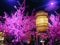 -今朝桃花醉川菜小酒馆(龙湖天街店)
