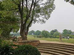 -雨花胜境