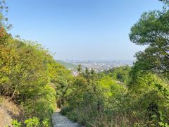 -桃花岭景区