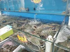 -港畔赶海蒸汽海鲜烧烤自助(仙螺岛店)