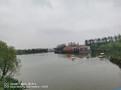 -上海长兴岛郊野公园