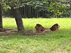 -杭州野生动物世界