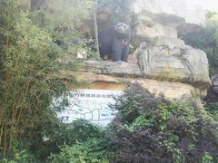 -东方熊牧场
