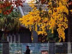 -四川大学(华西校区)