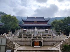 -树山生态村