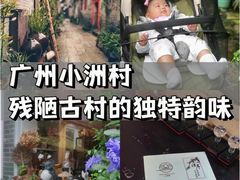 -小洲村