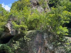-树山生态村