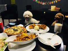 -百好乐宠物友好餐厅(朝外大街店)