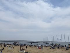 -碧海金沙