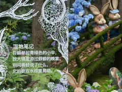 -共青国家森林公园-售票处