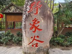 -野象谷景区