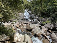 -海南热带雨林国家公园吊罗山景区