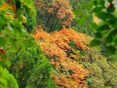 -青州市云门山风景区
