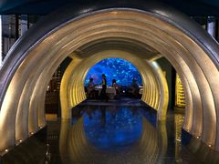 -迪拜帆船酒店海底餐厅