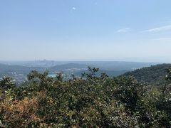 -龙寺生态园